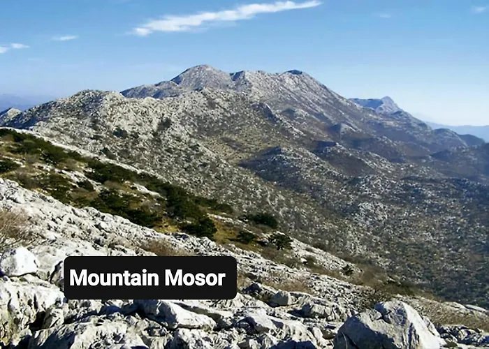 Elizabeth With Balcony Split