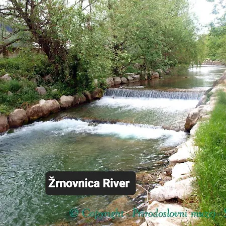 Elizabeth With Balcony Lejlighed *