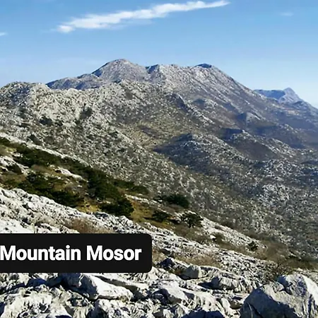 Elizabeth With Balcony Σπλιτ